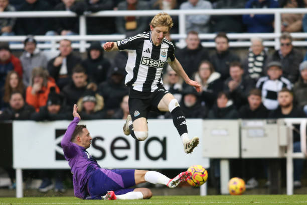 出色的表现 出色的表现